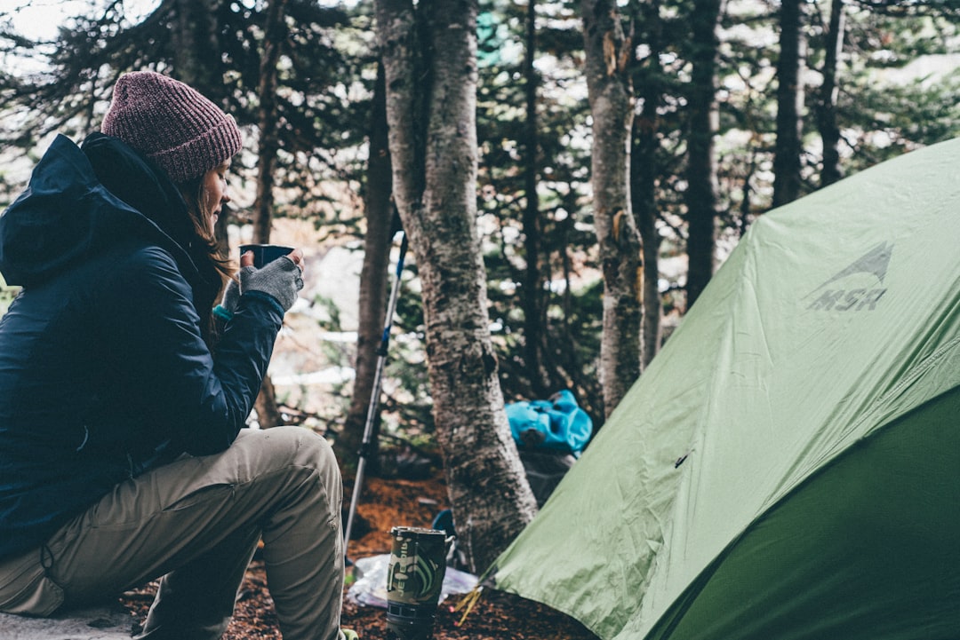 Embracing the Wild: How Nature Can Transform Your Travel Experience Embracing the Wild: How Nature Can Transform Your Travel Experience
